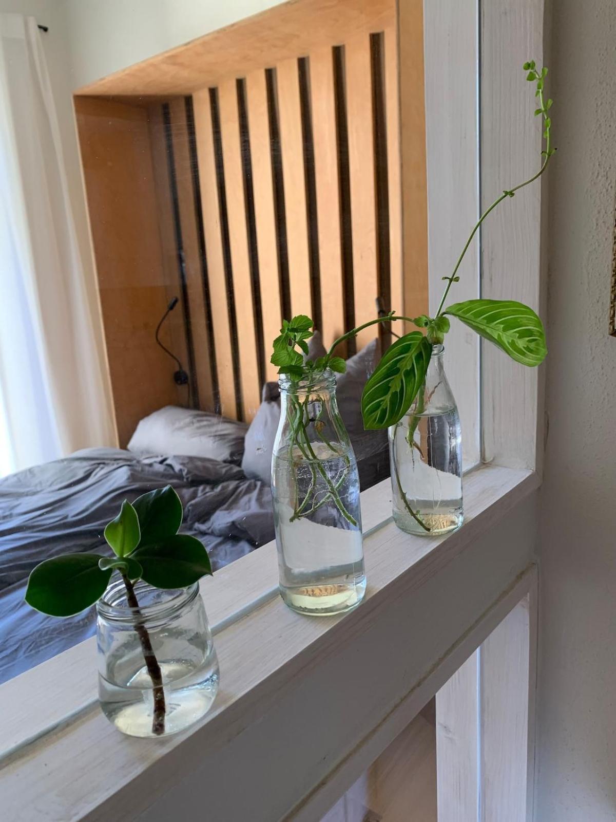 Cozy Apartment Dresden